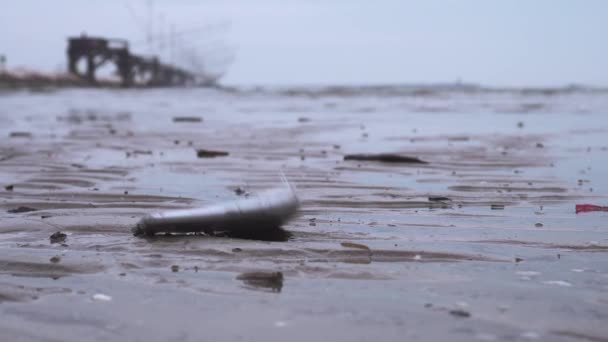 Smartphone falls on the ground on the wet beach — Stock Video