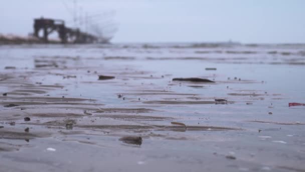 Smartphone esik a földre a nedves strandon — Stock videók