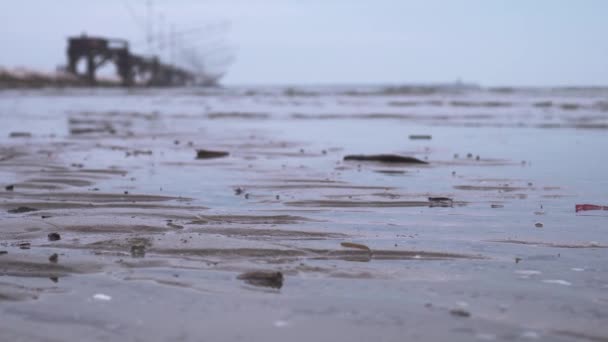 Smartphone spada na ziemię na mokro beach — Wideo stockowe