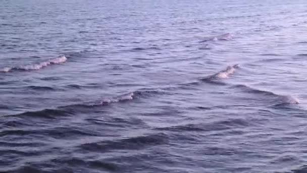 Petites vagues de l'eau de l'océan 