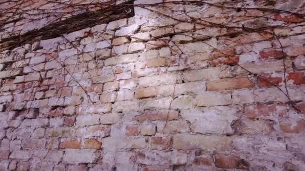 Antiguo muro de bloques de ladrillo — Vídeos de Stock