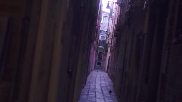 Smala gatorna i Venedig med gamla hus runt — Stockvideo