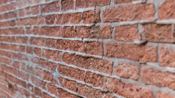 Mur de briques ruiné et découvert avec du béton — Video