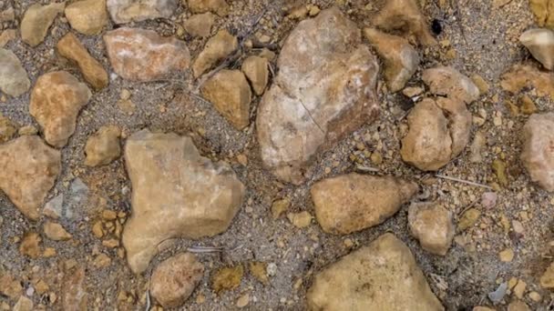 Olika och oregelbundna gula stenar i sanden — Stockvideo