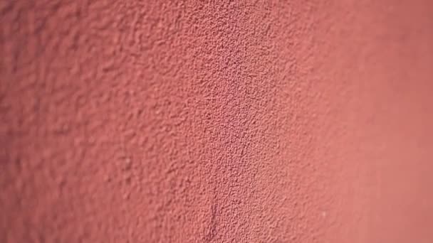 Textura de pared rosa rústica — Vídeos de Stock