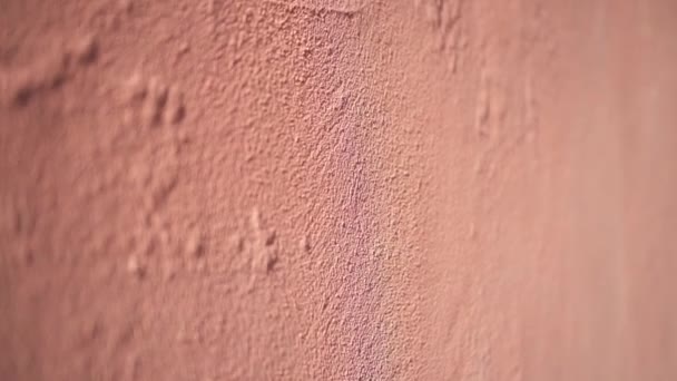 Textura de pared rosa rústica — Vídeos de Stock
