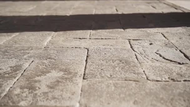 Венеціанська підлога з тінями колон. — стокове відео