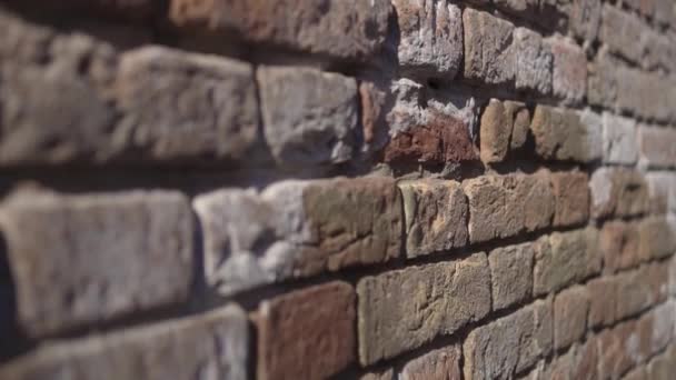 Τοίχος από τούβλο εξωτερικού κτιρίου — Αρχείο Βίντεο