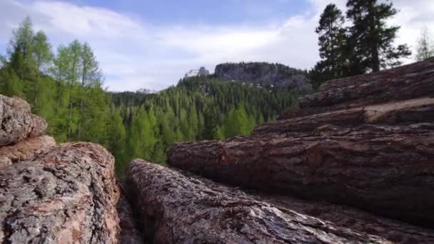 Pilha de troncos de madeira no meio das montanhas — Vídeo de Stock