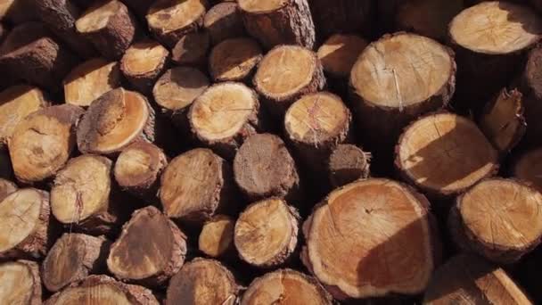 Pile de grumes en bois au milieu des montagnes