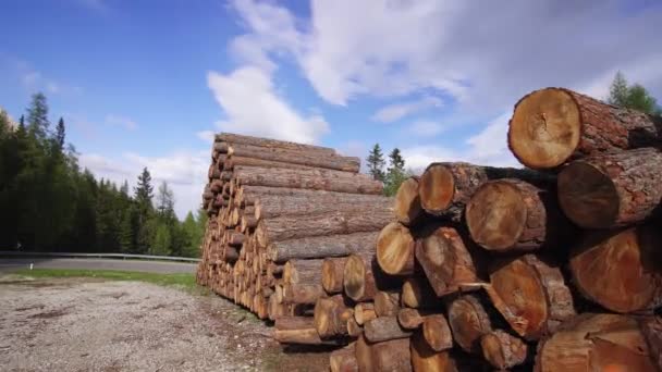 Montón de troncos de madera en medio de las montañas — Vídeos de Stock