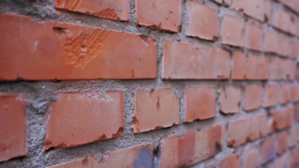 Pared de ladrillo de un edificio al aire libre — Vídeos de Stock