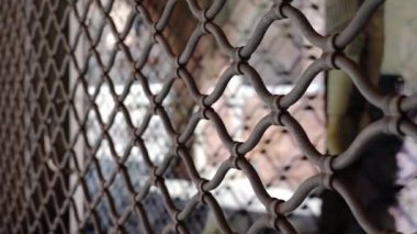 Kapalı Dükkanın Kapanışı