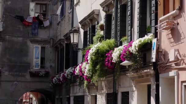 Красивый итальянский балкон с цветами — стоковое видео