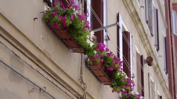 Schöner italienischer Balkon mit Blumen — Stockvideo
