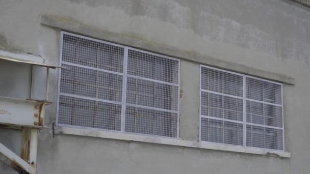 Окна фабрики закрываются проволочной сеткой — стоковое видео