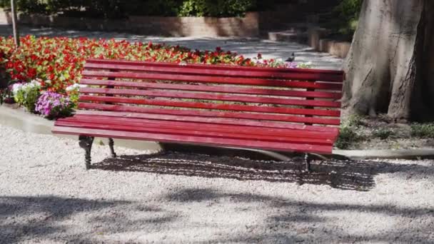 Κόκκινο παγκάκι στη μέση του πάρκου με λουλούδια — Αρχείο Βίντεο