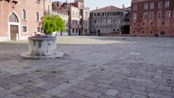 Venedig torget tomt och utan människor — Stockvideo