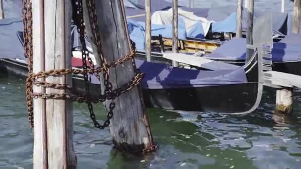 Venezianische Gondeln schweben auf dem großen Kanal — Stockvideo
