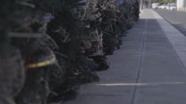 Balıkçı halatı yol kenarında yatıyor.