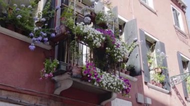 Pencere ve balkonunda çiçekler olan Venedik evi