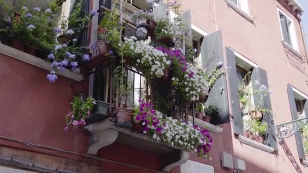 Venezianisches Haus mit Blumen an den Fenstern und Balkon — Stockvideo