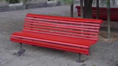  Kırmızı bir bank, bir ağaç ve bir güvercin. 