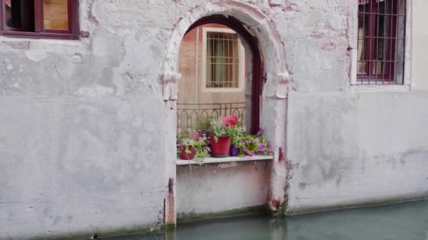 Venetianska blomkrukor från kanalsidan — Stockvideo