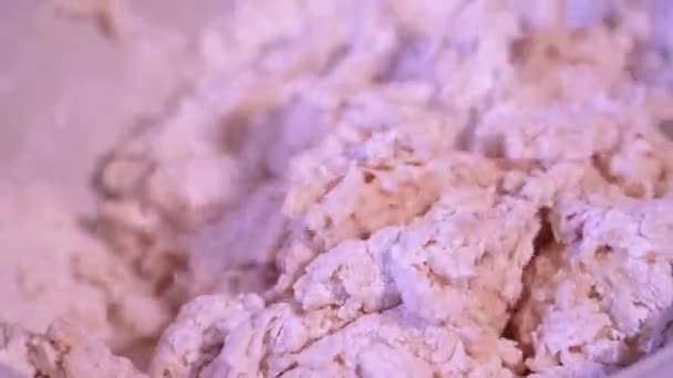 La masa cubierta con harina se mezcla en el plato — Vídeos de Stock