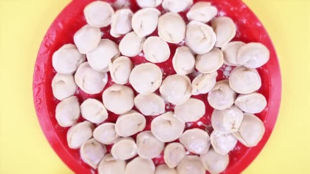 赤い皿の中の手作り餃子 — ストック動画