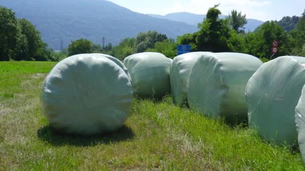 Bolas de feno embaladas com sacos de plástico — Vídeo de Stock