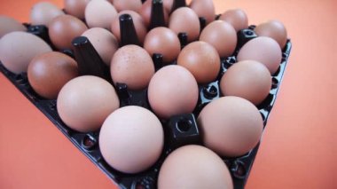 Hücre tepsisinde turuncu arka planda tavuk yumurtaları etrafında hareket