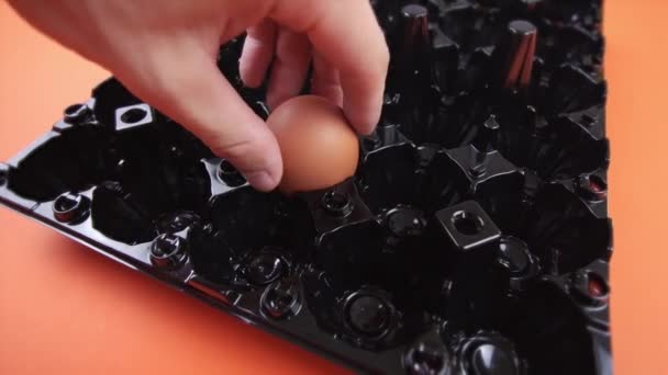 Человек берет куриное яйцо с подноса на ярко-оранжевом фоне — стоковое видео
