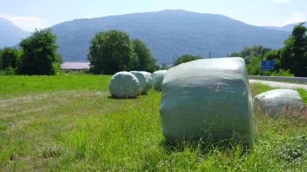 Hooiballen verpakt met plastic zakken — Stockvideo