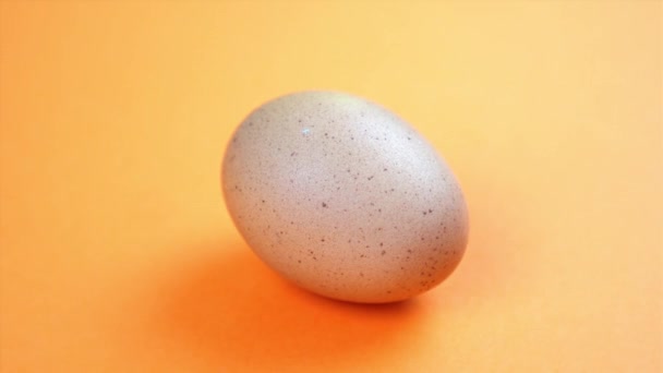 Alleen verse kip ei draait op oranje kleur oppervlak — Stockvideo
