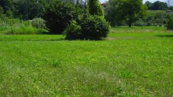 Torony, amely támogatja a tápkábelek a természet közepén — Stock videók