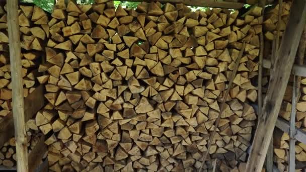 Pilas de madera picada listas para ser quemadas — Vídeos de Stock