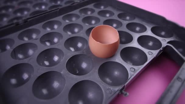 prázdné rozbité vaječné skořápky v šedém zásobníku na růžovém pozadí