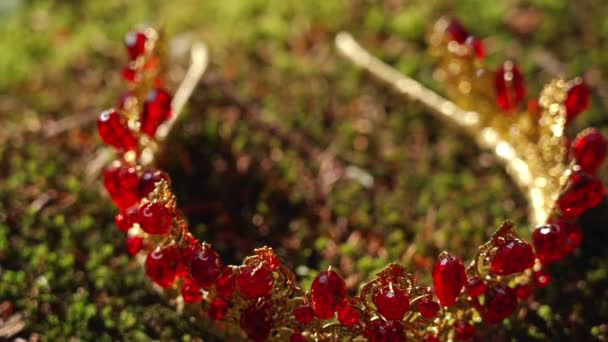 Piękna korona na włosy z czerwonymi klejnotami na mchu lasu — Wideo stockowe