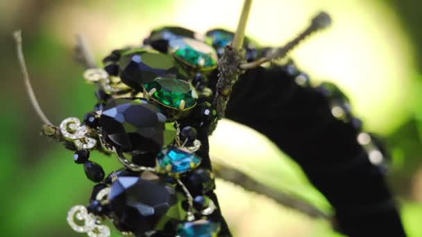 Bela coroa preta com jóias no tronco da árvore — Vídeo de Stock