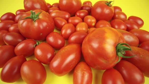Muitos tomates vermelhos espalhados em uma superfície amarela — Vídeo de Stock
