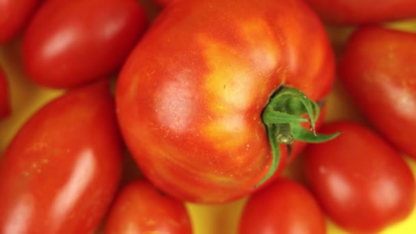 Tomates vermelhos em um fundo amarelo — Vídeo de Stock