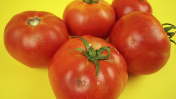 Muitos tomates vermelhos espalhados em uma superfície amarela — Vídeo de Stock