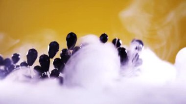 Sarı üzerine beyaz buharlı siyah parlak değerli taşlı taç.