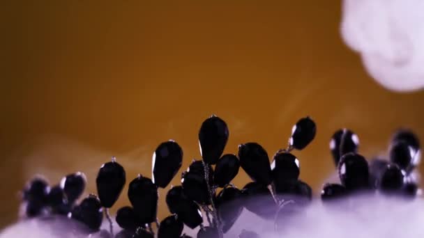 Tiara stylish dengan safir hitam di cabang dalam uap — Stok Video