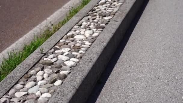 Parapeto con piedras y hierba entre el camino y la acera — Vídeos de Stock