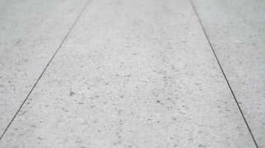 Güneş ışığında yuvarlak lekeli gri karolar boyunca hareket