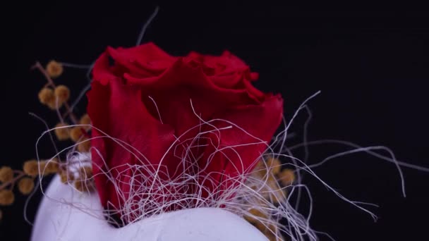 Rosa vermelha gira no vaso branco — Vídeo de Stock
