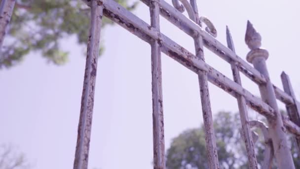 Clôture vintage avec des pointes de peinture blanche contre les arbres et le ciel — Video