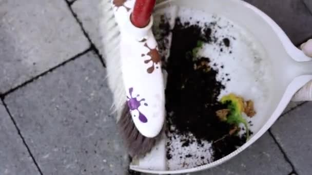 Persona en guantes blancos reúne tierra en una pequeña pala de plástico — Vídeo de stock